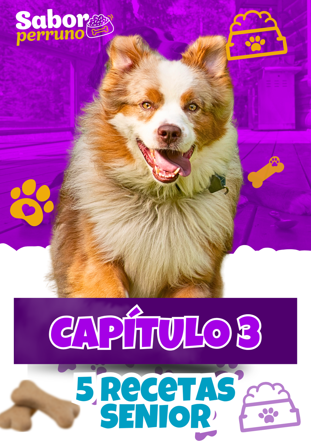 Menú Canino | 150 Recetas Caseras para Perros | Descarga Inmediata