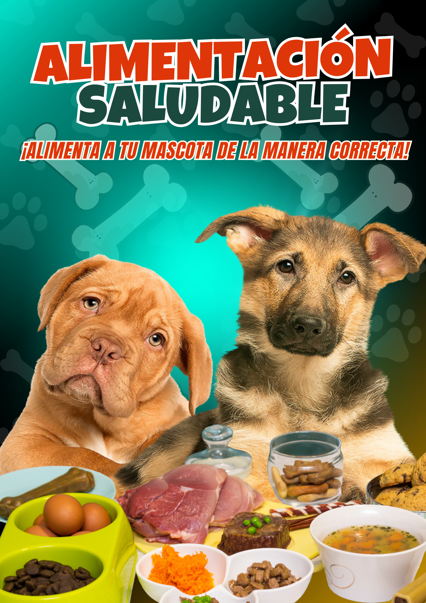 Menú Canino | 150 Recetas Caseras para Perros | Descarga Inmediata